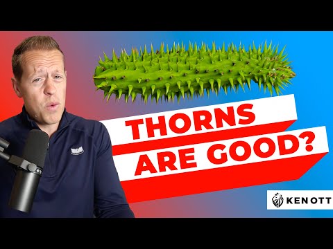 Are Hard Things GOOD And Is Strength BAD? [Video]