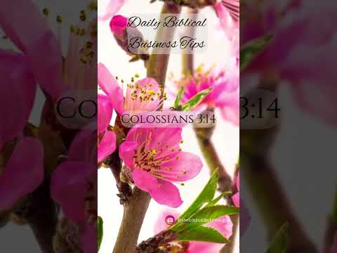 Colossians 3 v 14   Unity in Diversity [Video]