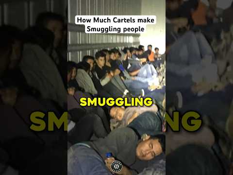 How Much Cartels make Smuggling People into USA [Video]