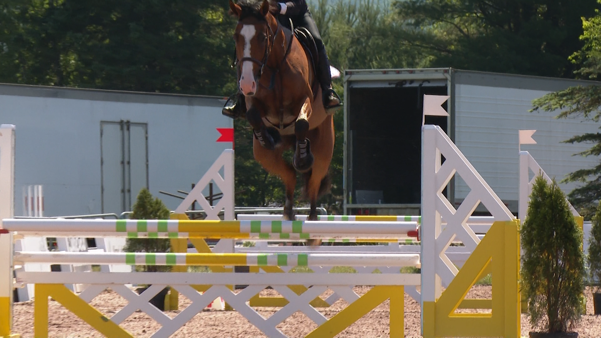 Lake Placid Horse Shows return for 55th year in the Olympic Village [Video]