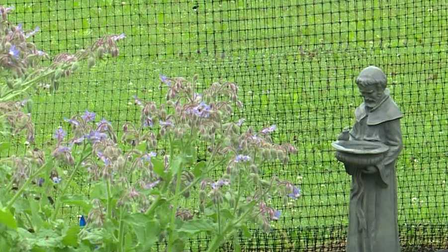 Community Champion: Gardeners give harvest to Mainers in need [Video]