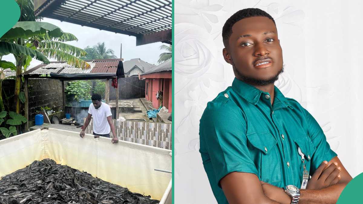 Akwa Ibom State University Graduate Bounces back after Losing over N4m Put in Catfish Farming [Video]