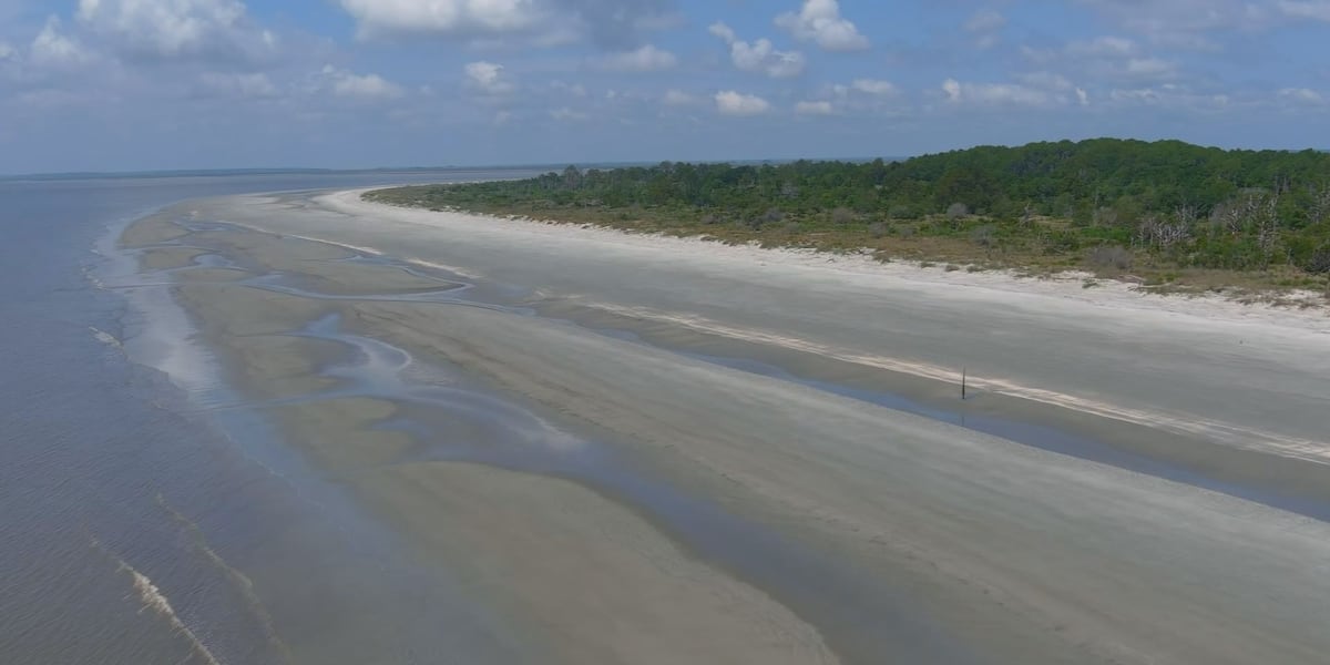 At least 7 dead after ferry dock gangway collapses on Georgias Sapelo Island [Video]