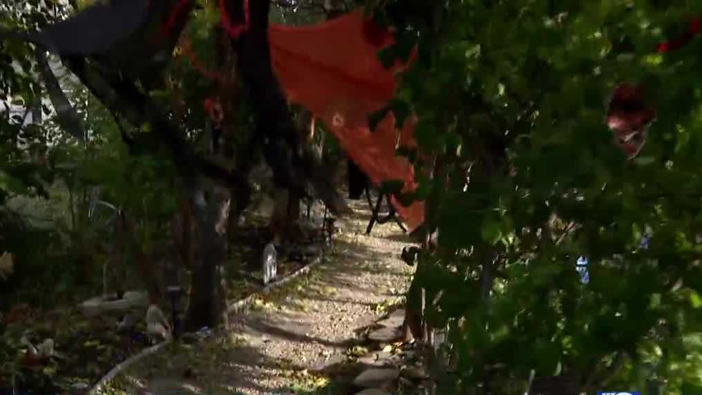 Haunted Waukesha trail decorated in honor of 5 rescue dogs [Video]