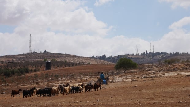 As settlers expand their hold on the West Bank, Trump’s election gives them even more hope [Video]