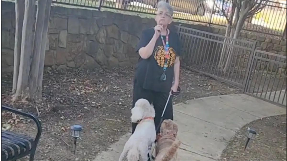 WATCH! DID THE WHITE POODLE DOG SHOW MORE CLASS AND CHRISTIANITY THAN HER WHITE OWNER AND THE BLACK PASTOR WHO WERE FIGHTING IN A DOG PARK IN MANSFIELD, TEXAS? YOU BE THE JUDGE.  Black Christian News [Video]