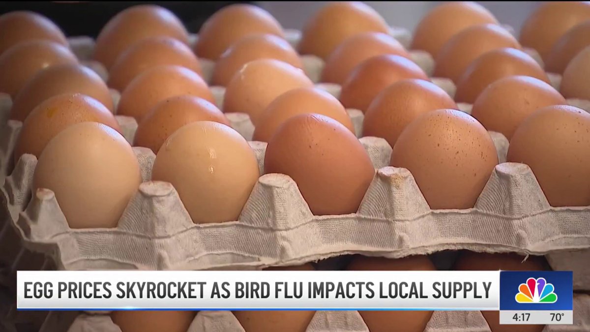 Chino farms business booms with grocery stores increasing egg prices  NBC Los Angeles [Video]