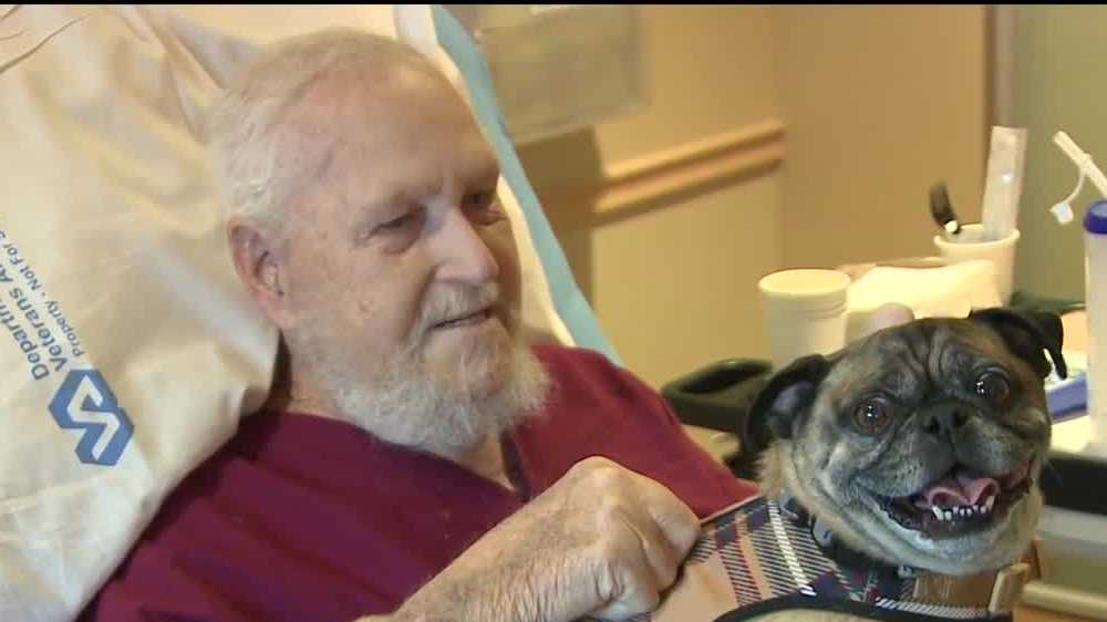 No place like home: Oscar the pug reunites with owner in hospice [Video]